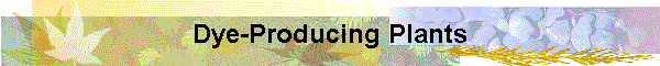Dye-Producing Plants
